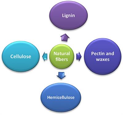 Frontiers | Natural Fibers As Sustainable And Renewable Resource For ...